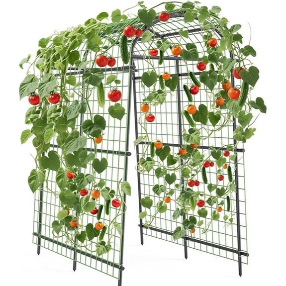 10 Best Vines for Pergolas in 2026 10 Garden Arch Trellis 7.5FT for Climbing Plants Outdoor Decoration