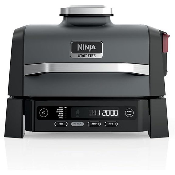 Ninja Woodfire Outdoor Grill & Smoker (OG321)